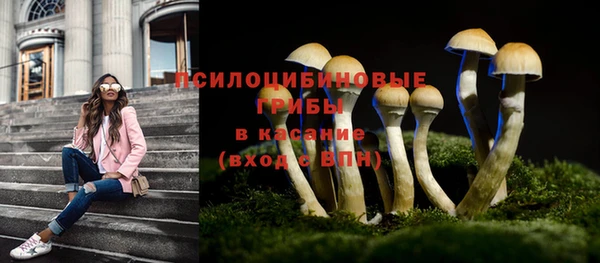 МДМА Осинники