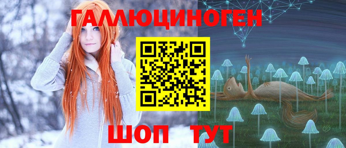 Псилоцибиновые грибы GOLDEN TEACHER  хочу наркоту  Махачкала  Вход с VPN  Галлюциногенные грибы GOLDEN TEACHER 